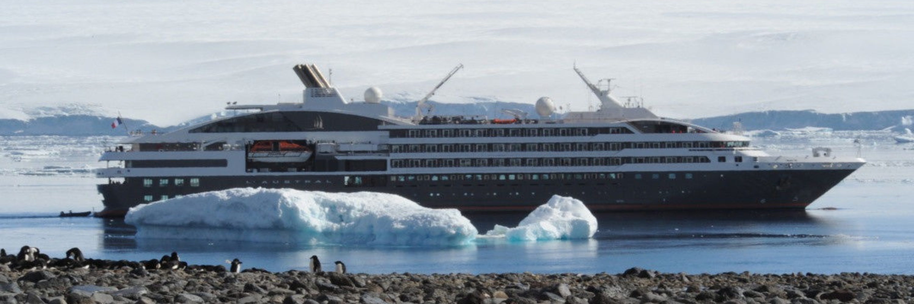 L Austral