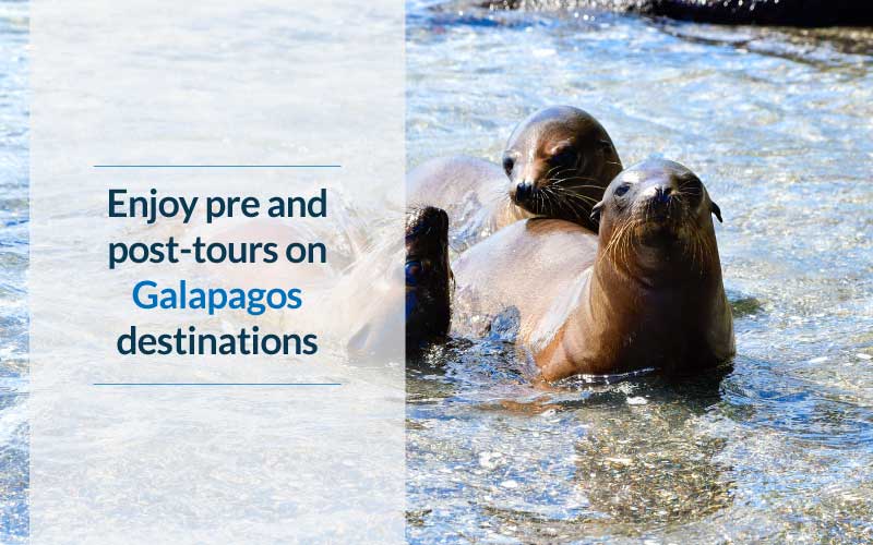 Enjoy pre and post-tours on Galapagos destinations with Celebrity Cruises