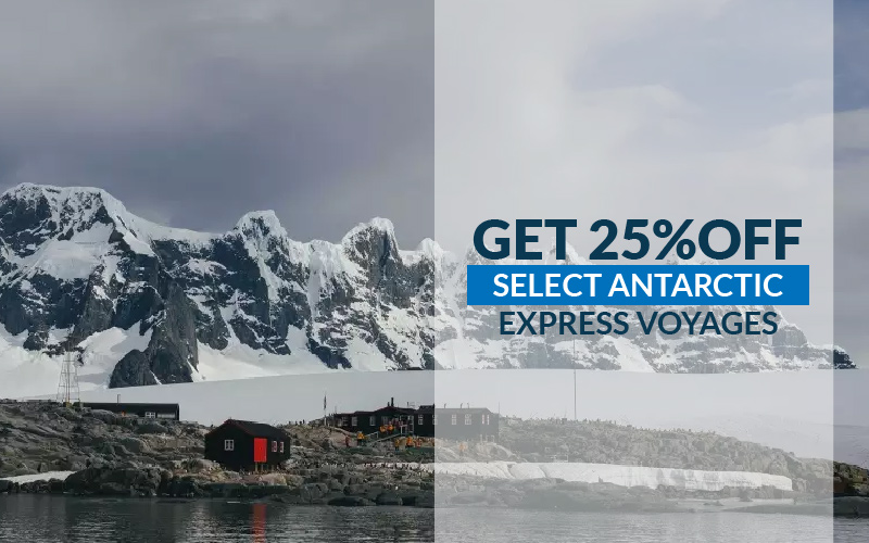 Get 25% Off Select Antarctic Express Voyages with Quark Expeditions