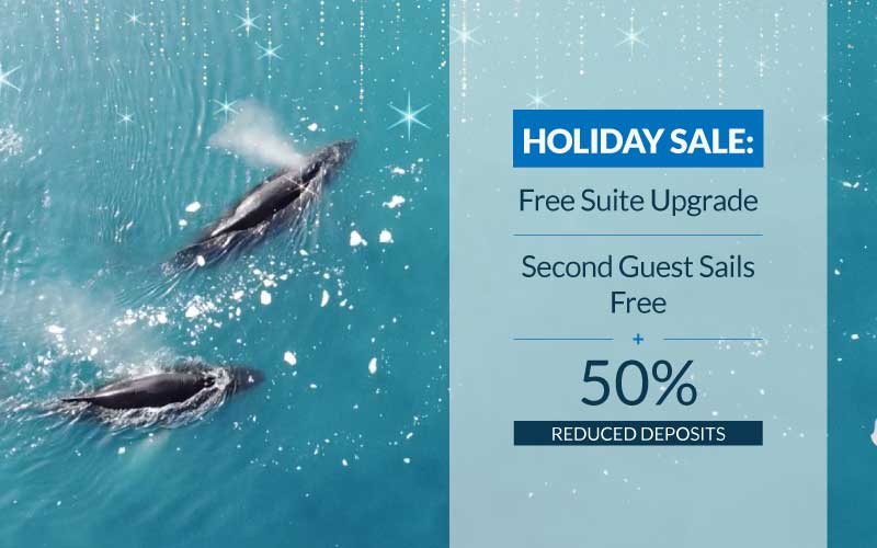 Holiday Sale: Free Suite Upgrade, Second Guest Sails Free plus 50% reduced deposits.