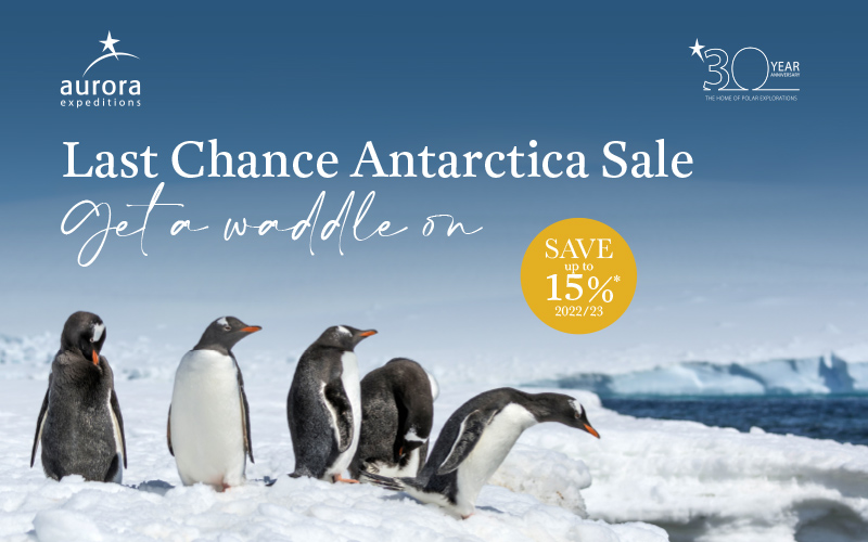 Save up to 15% off on select Antarctica 2022 & 2023 Expeditions with Aurora Expeditions