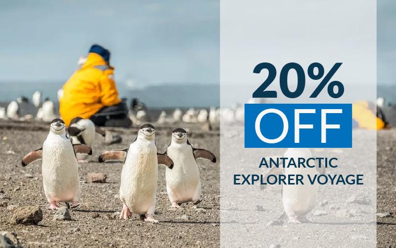 Save up to 20% Off on Antarctic Explorer Voyage with Quark Expeditions