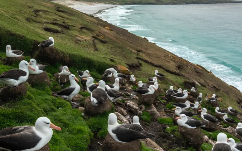 Save up to $3,500 on 2024-2026 expedition cruises to Antarctica, Alaska, Galápagos, Greenland, & more with Hurtigruten Expeditions