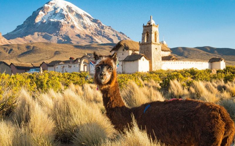 Unforgettable South America Awaits: Save Up to 10% and Get up to $500 Credit with Explora Journeys