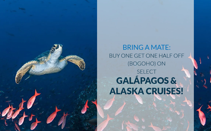 BOGOHO - Alaska & Galapagos from Hurtigruten