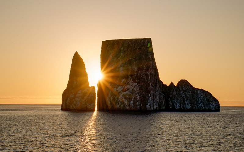 Airfare Included on Galapagos Sailings with Celebrity Cruises