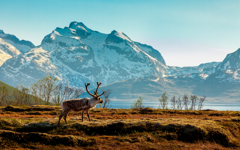 Discover the Magic of Alaska by Sea – A Journey Like No Other