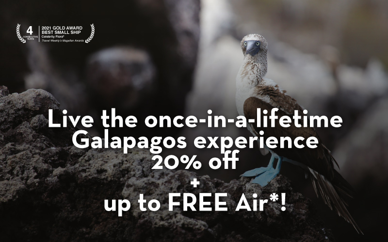Exclusive 20% in savings + up to Free Air* to Galapagos only with Celebrity!