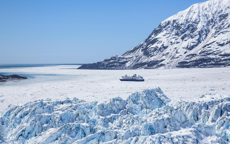 Explore the Arctic: A Once-in-a-Lifetime Expedition