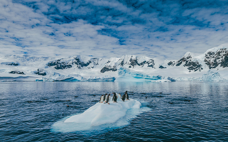 Explore the best deals to Antarctica