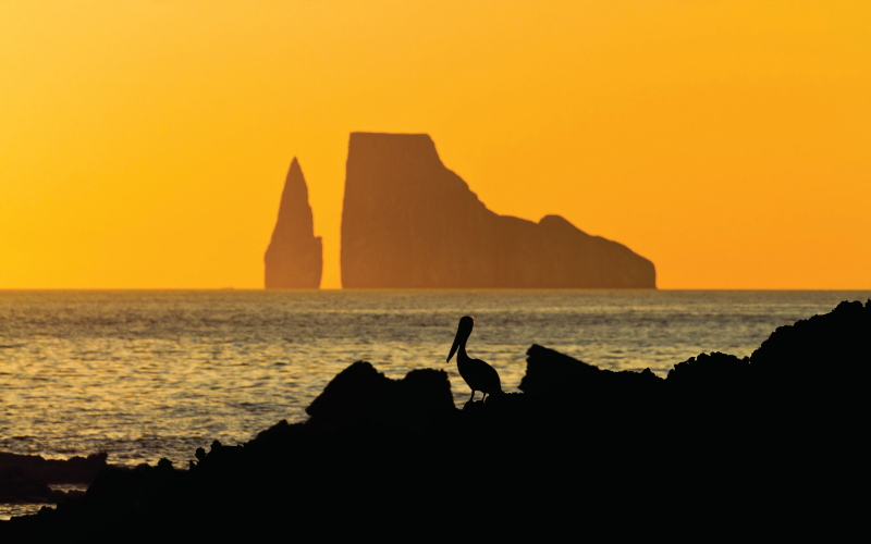 Explore the Enchanted Galápagos Islands