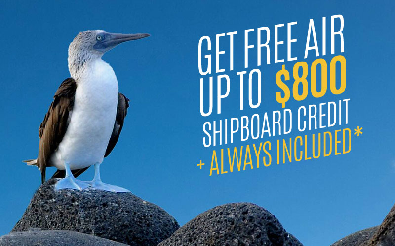Galapagos Free Air, Up to $800 shipboard Credit + Always Included*