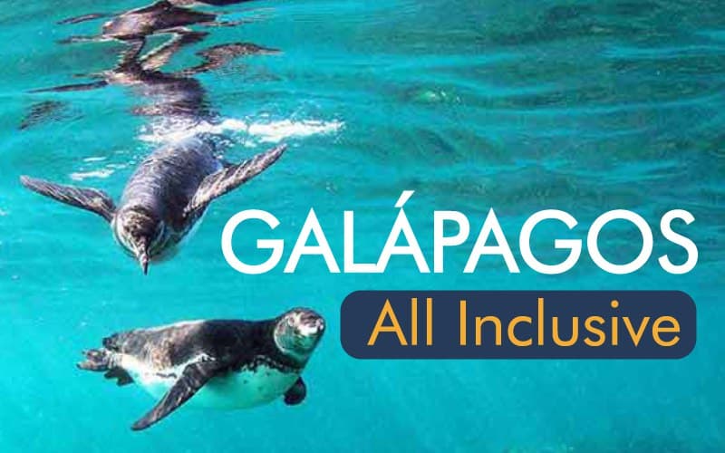 Galápagos, The Wait is Over. Get Economy Class Roundtrip Air, Economy Class Roundtrip Air between Ecuador and Galapagos, Pre-cruise Hotel in Quito, and more!