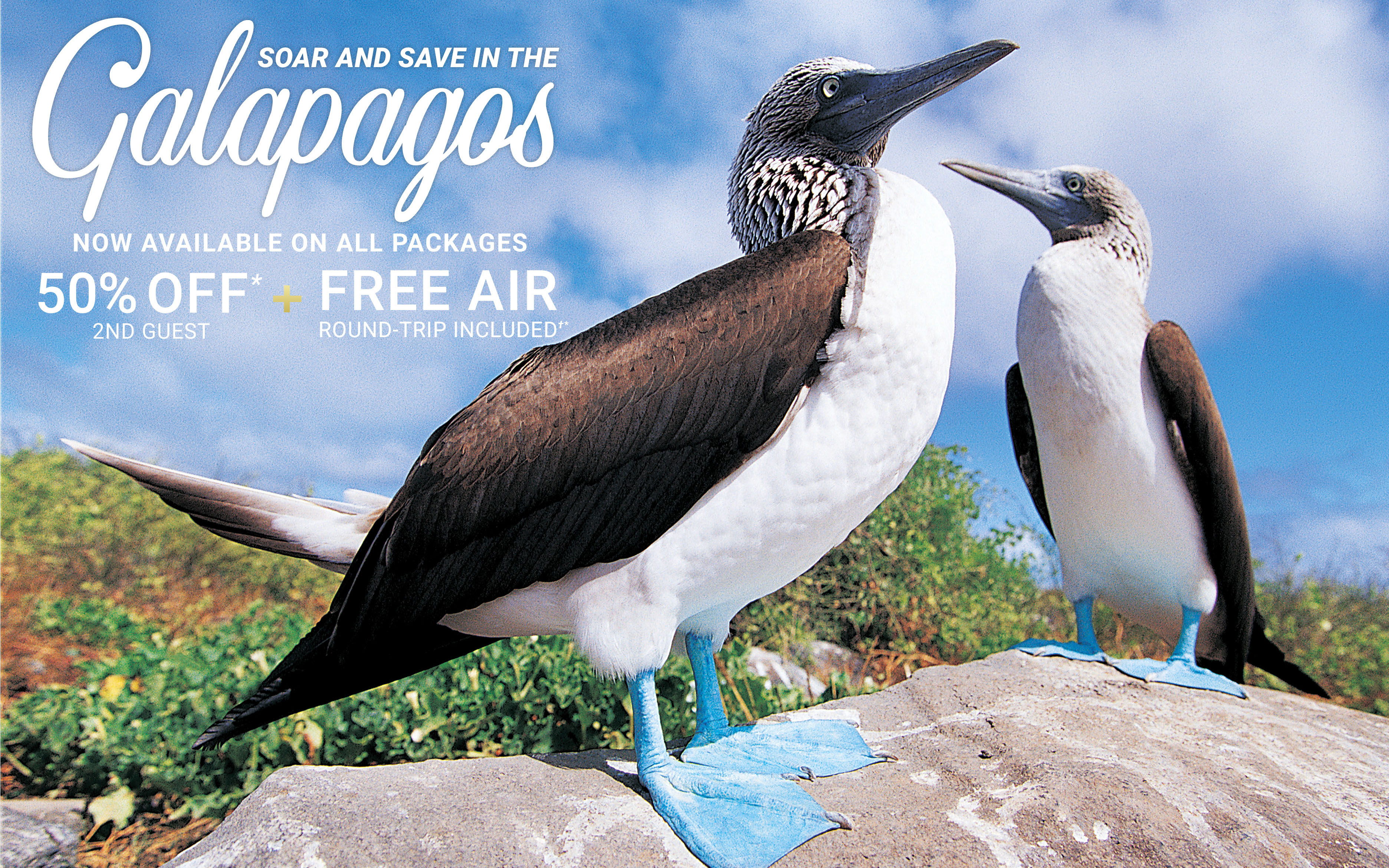 Soar and Save in the Galapagos with Celebrity Cruises