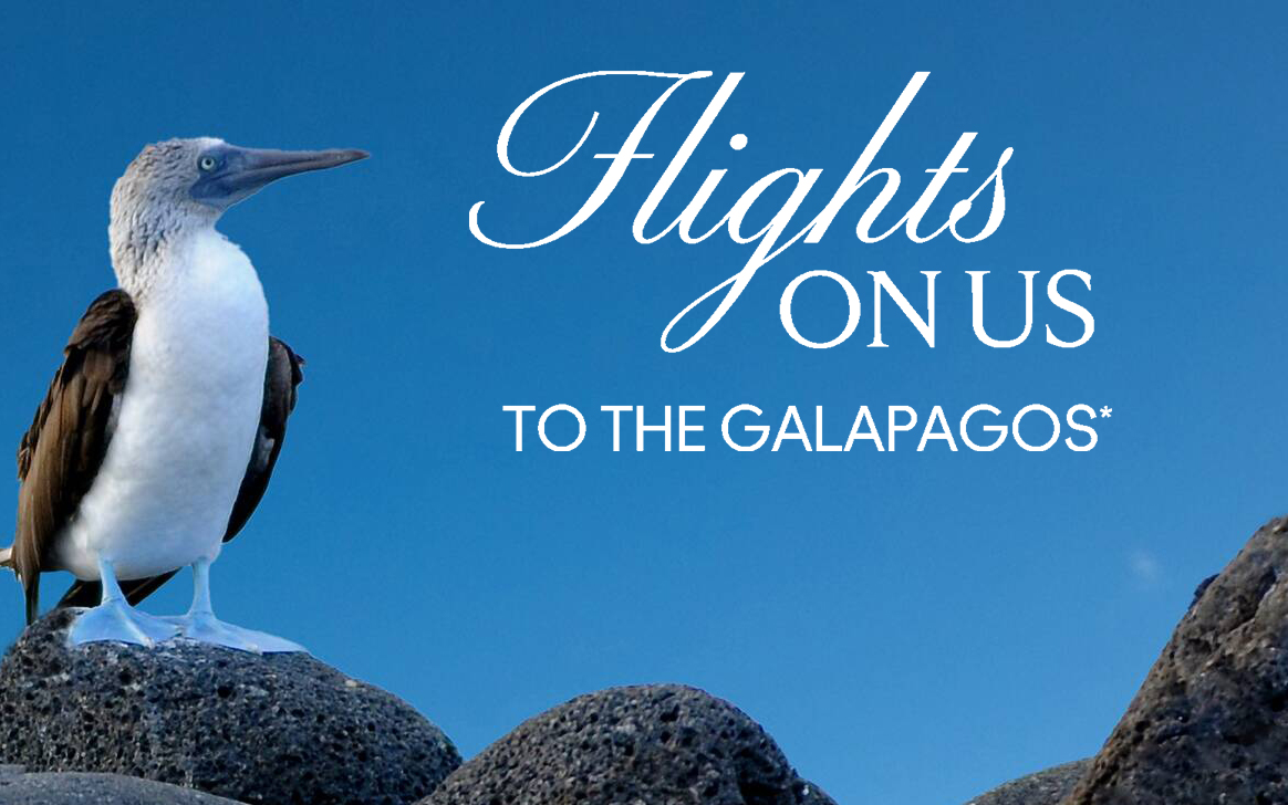 When you book your next Galapagos getaway with Celebrity Cruises, we’ll get you there with airfare included*